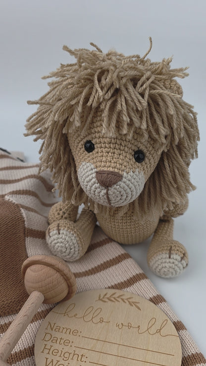Leo the Lion Baby Gift Box Hamper