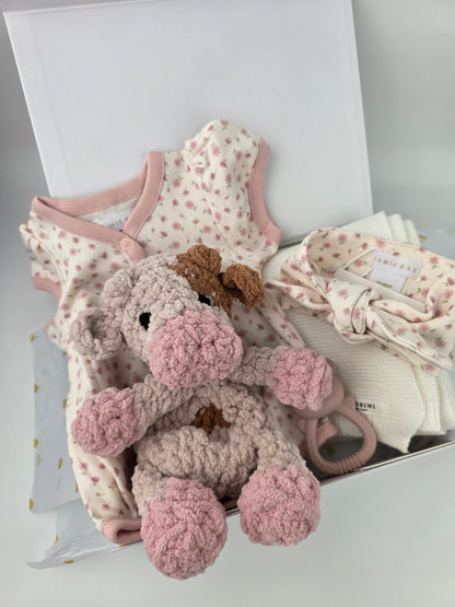 Baby Girl Gift Box Hamper