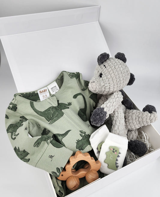 Dinosaur Snuggler Gift Box Hamper