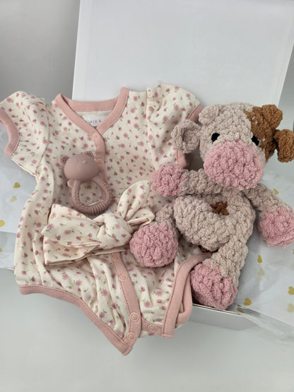 Hello Baby Girl Gift Box Hamper