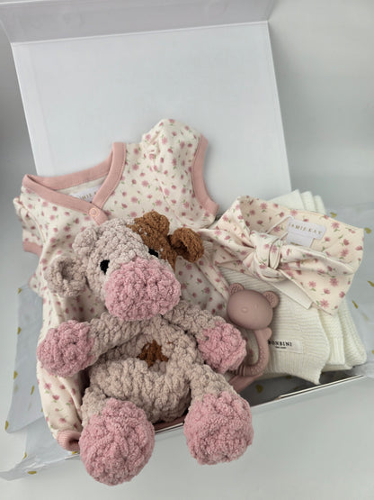 Baby Girl Gift Box Hamper